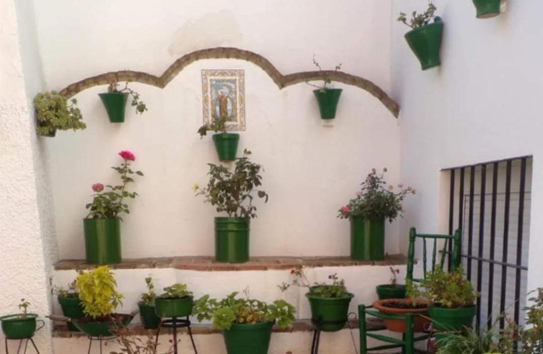 Casa Rural Camino De Los Molinos Y Su Establo La Puebla de los Infantes Kültér fotó
