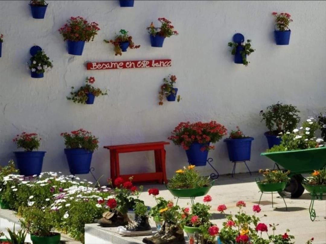Casa Rural Camino De Los Molinos Y Su Establo La Puebla de los Infantes Kültér fotó