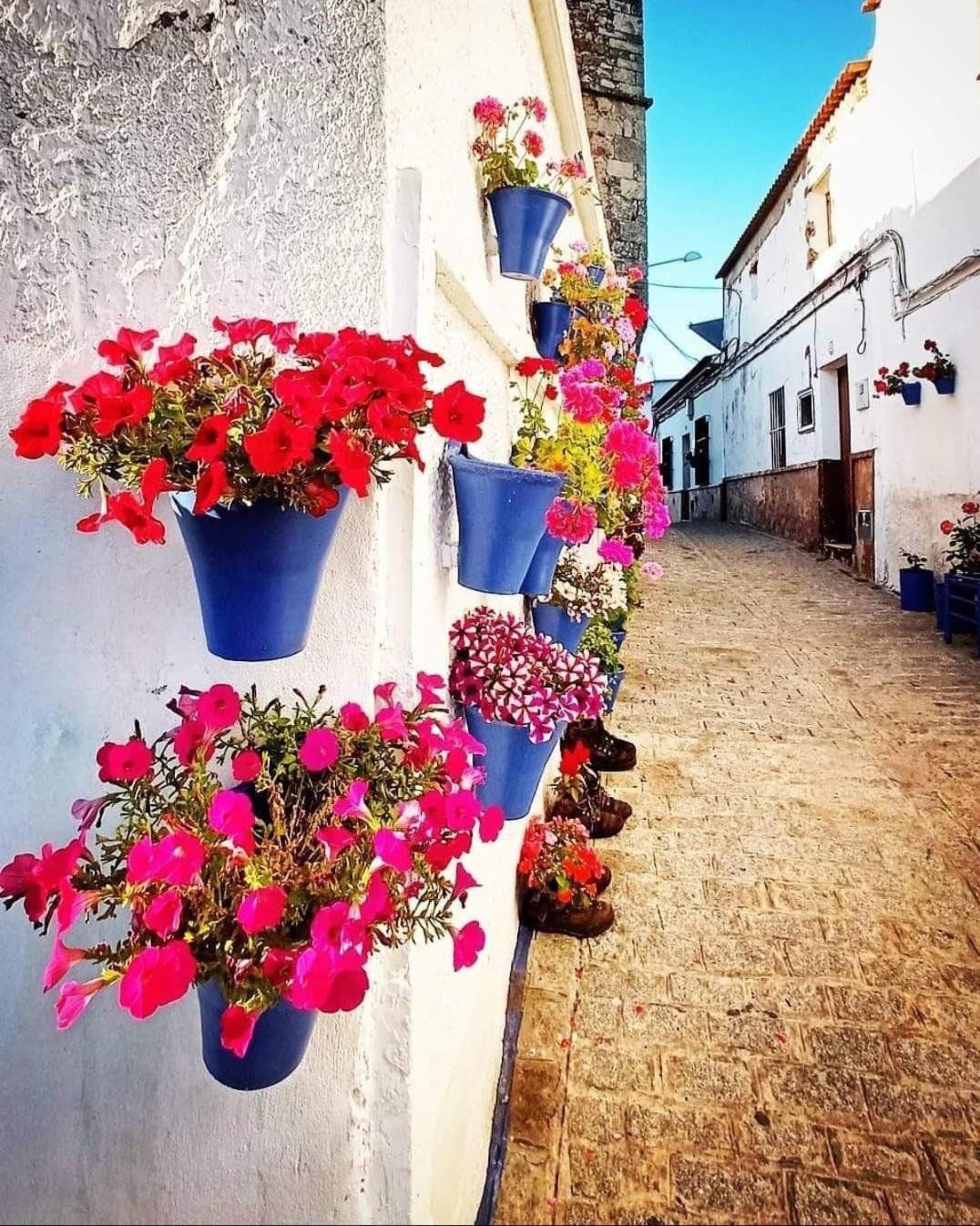 Casa Rural Camino De Los Molinos Y Su Establo La Puebla de los Infantes Kültér fotó